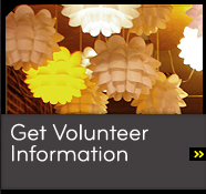 volunteer-info